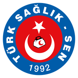 Türk Sağlık-Sen